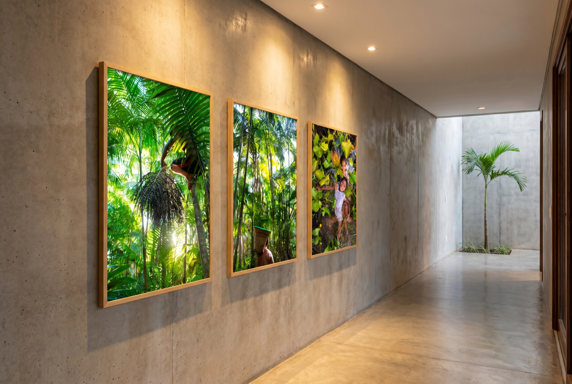 Fotografias emolduradas em madeira num corredor